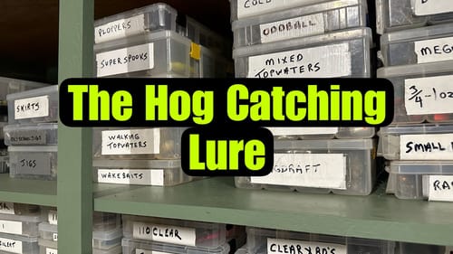 The Lure I’ve Caught More 4lb.-9lb. Bass On Than ANY Other…(Most Will Never Guess)