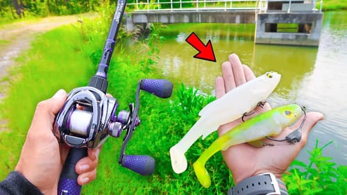 Catching GIANT Bass on BIG Swimbaits (Bank Fishing)
