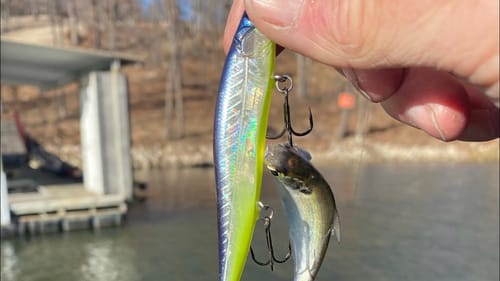 80% Of All Bass Anglers Make This Mistake In Late Winter/Prespawn