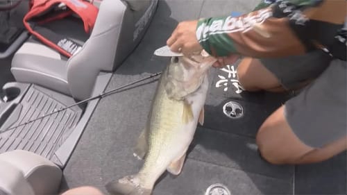 Zaldain's unseen heartbreak and heroics in final moments of Guntersville competition