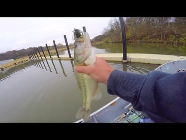 He SMOKED The Jig!