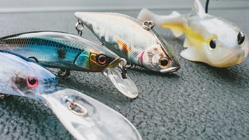 How To Catch Bigger Spring Bass (The Easy Way)