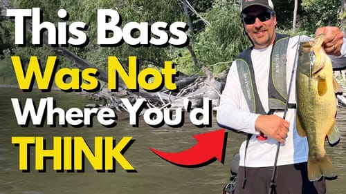 A Right and Wrong Way to Bass Fish Wood | Bass Fishing Tips