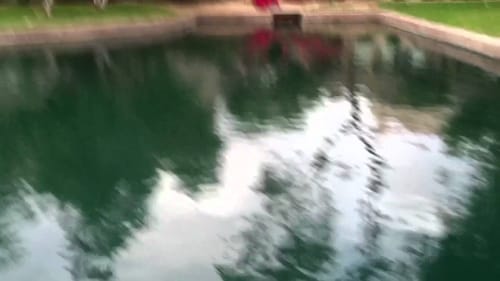 Fishing The Whole Weekend