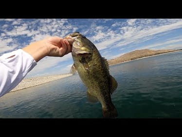 Lake Perris Bass Fishing (Catching too many fish!!)