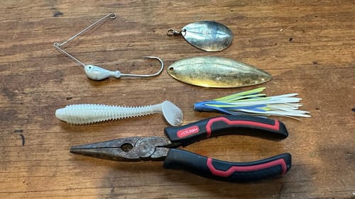 Introducing The “Mongo” Springtime Spinnerbait…