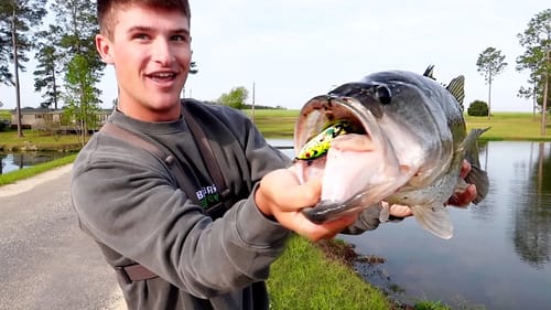 Why TOPWATER Fishing is The BEST!