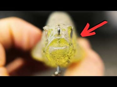 Early Spring LURES I Never Leave Home Without