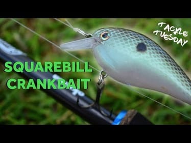 Squarebill Crankbait Fishing Tips ! (Tackle Tuesday #1)