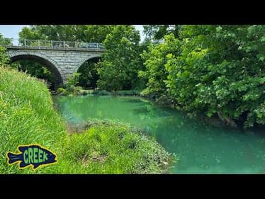 I was Surprised What's in This Urban Creek!