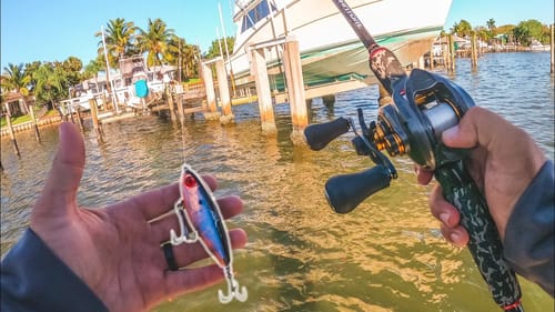 Fishing Big Inshore Saltwater Docks | Bass Tackle Gets Wrecked by Saltwater Fish