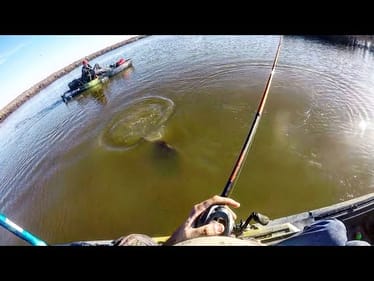 My BIGGEST FISH from a KAYAK! (SURPRISE CATCH!)