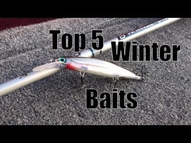 Top 5 Winter Baits and How to Fish'em