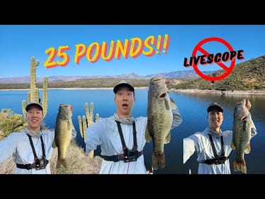 My BIGGEST BAG Ever!! (Saguaro Lake Bass Fishing)