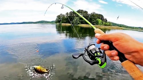 The ULTIMATE PANFISHING Showdown On LAKE GUNTERSVILLE! (CRAPPIE and BLUEGILL)