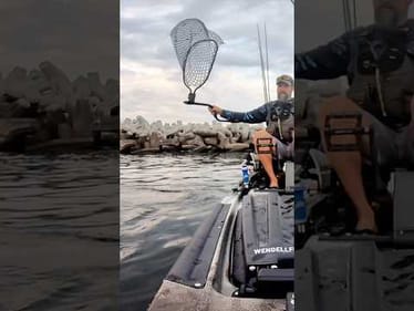 Keep Off My Bait, Trash Fish!