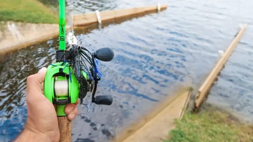 ENORMOUS Bass Caught While Fishing HIDDEN Canal (Record Day)