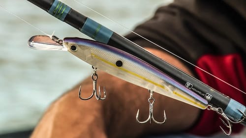 Jerkbait Bass Fishing in Cold Water