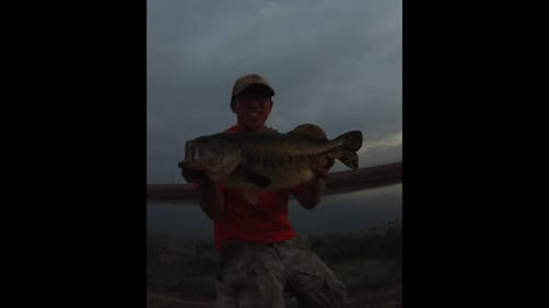Summer Frogging for Bass (7lb Bass)
