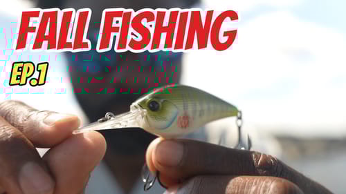 Best 3 Crankbaits For Fall Fishing
