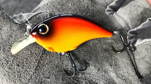 CRANKBAITS Are For COLD WATER (Winter Bass Fishing)