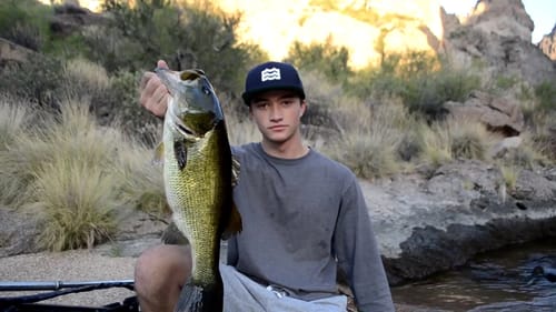 Catching Bass With Big Swimbaits During Fall Transitions