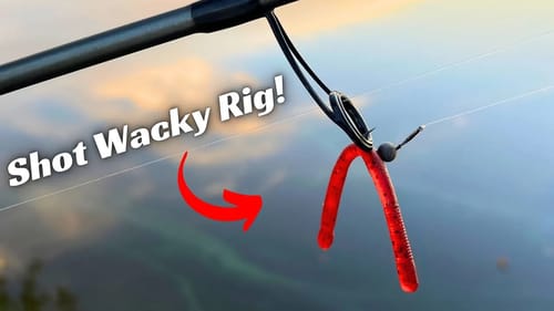 The Shot Wacky Rig Is Taking Over!