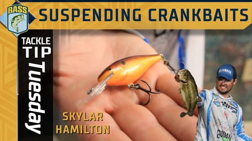 Suspending crankbaits with hook size (Great for Cold water bass)