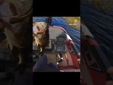 8 pounder on tournament day!!!