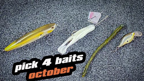 Pick 4 | Baits For October