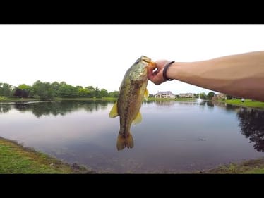 My Unexpected Fishing Trip