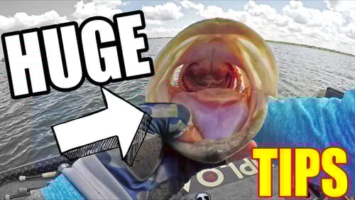 BIZARRE How Bass Eat This Bait ~ DIRTY 30 in the new BOAT