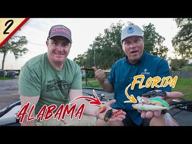 6 Elite Tips for Fishing in February