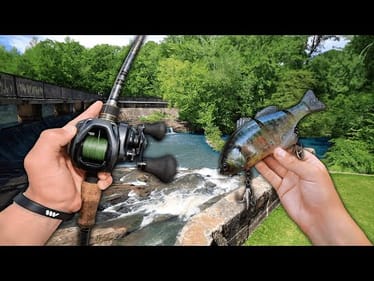 Hunting URBAN BASS In HIDDEN Honey Holes! -- Pond Hopping