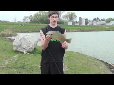 Spring Time Smallie: FTMW Shorts