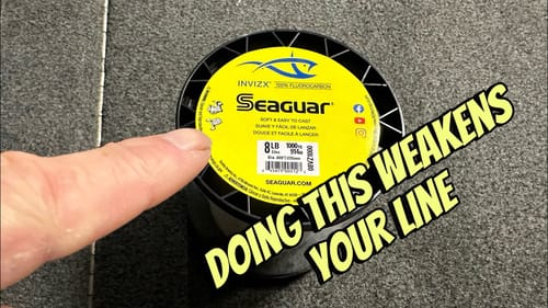The Biggest Culprits That Weaken Your Fishing Line…(Most Anglers Will Never Guess No. 1)