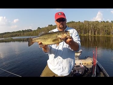 Fishing for Beginners - How to Hold a Bass