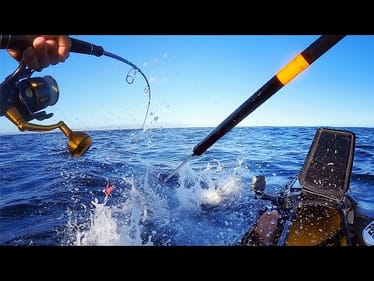 Big Fish Gives Kayaker Trouble - Smoked Fish - Living From The Ocean