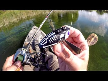 This Creepy Crawler Caught A Bunch Of Fish!