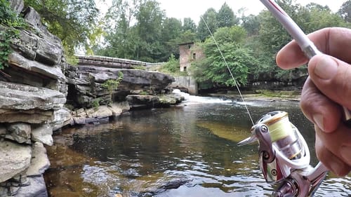 Very Easy Way To Catch Fish! Simple But Extremely Effective Setup!