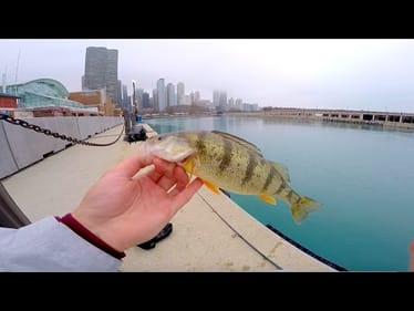 City Fishing in Downtown Chicago