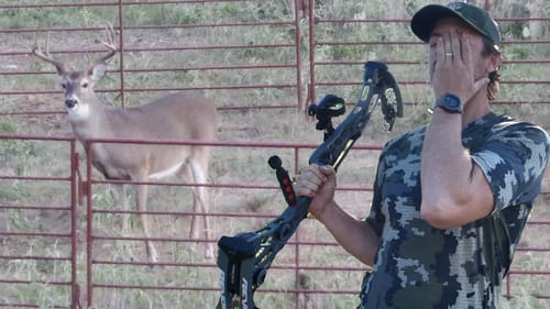 Trophy Buck Shows, Out of Bow Range...