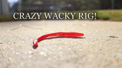 Wacky rig you have NEVER heard of!!! (CRAZY new rig)