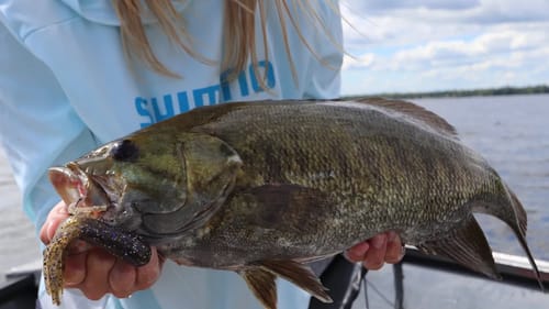Fishing for Bass in ONTARIO! (Ontario Opener)