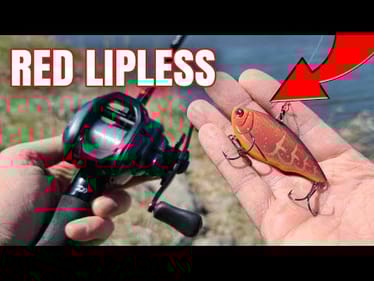Spring Bank Fishing a Red Lipless Crankbait (RED WORKS!)