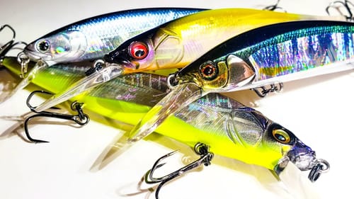 Fall Jerkbait Fishing! Everything You Need To Know!