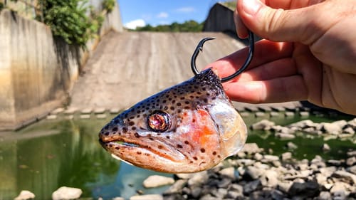 The Spillway of DEATH was Hiding Something BIG!!! (New PB!)