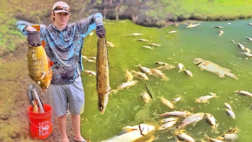 My FISH Died from this…