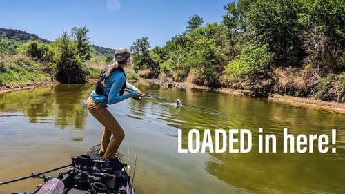 Fishing a Shallow, CLEAR Texas river (GIANT fish everywhere!!)