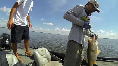 Cast of a lifetime ~personal best 12+ pounder, but you won't believe how I caught it!